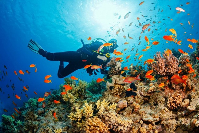 Best Destinations in Vietnam for Scuba Diving