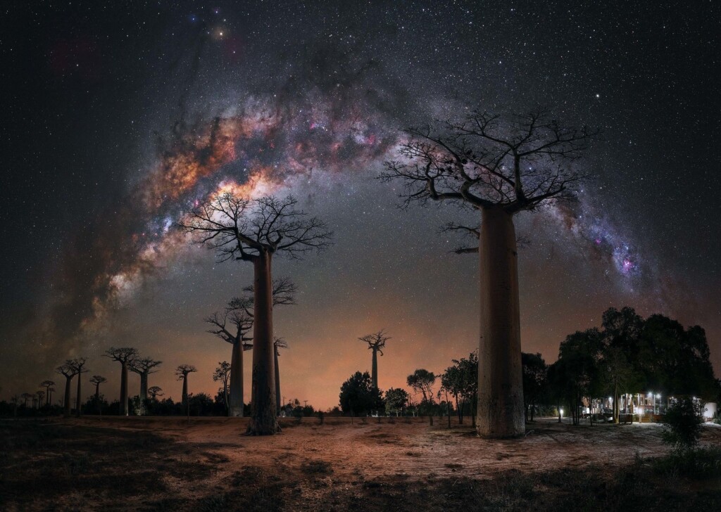“Night under the Baobab Trees”. Photo: Steffi Lieberman