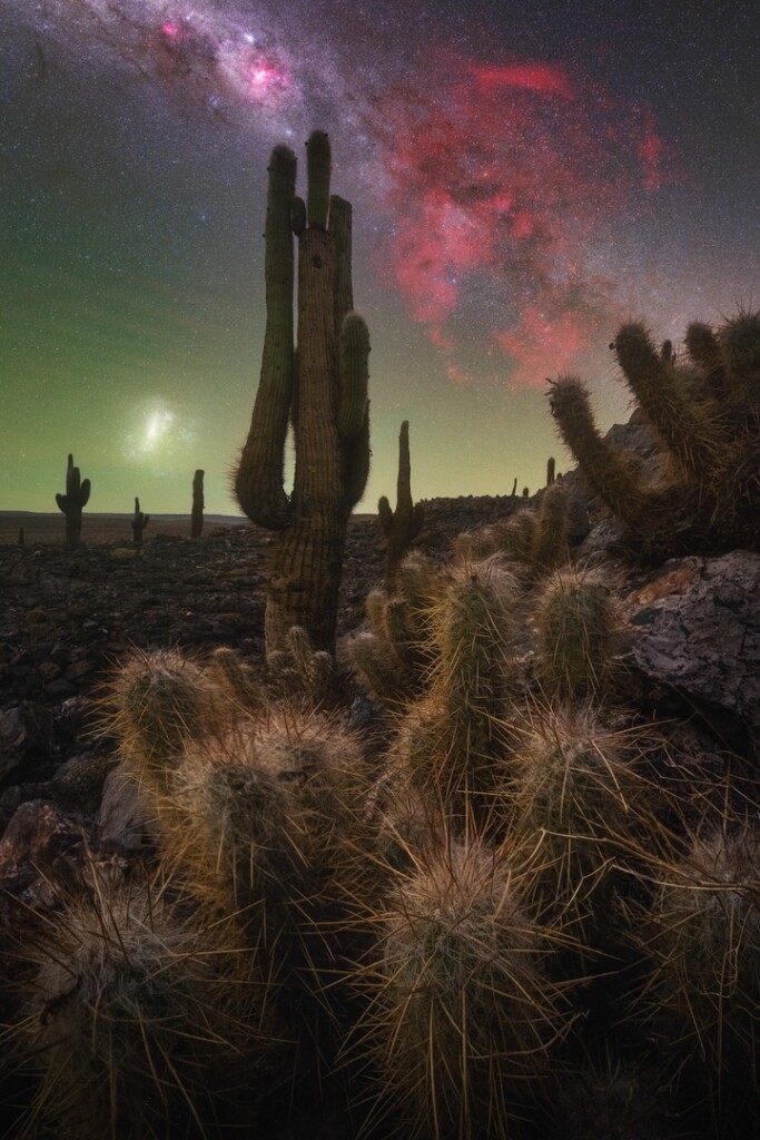 “The Cactus Valley”. Photo: Pablo Ruiz García