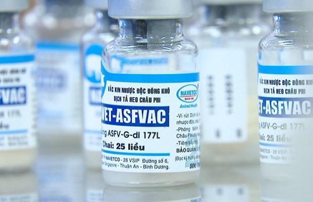 Vietnam News Today (Jun 19): Vietnamese-made African Swine Fever Vaccine Used in Philippines, Dominica