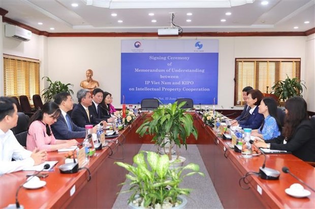 vietnam rok cooperate to ensuring better ip protection