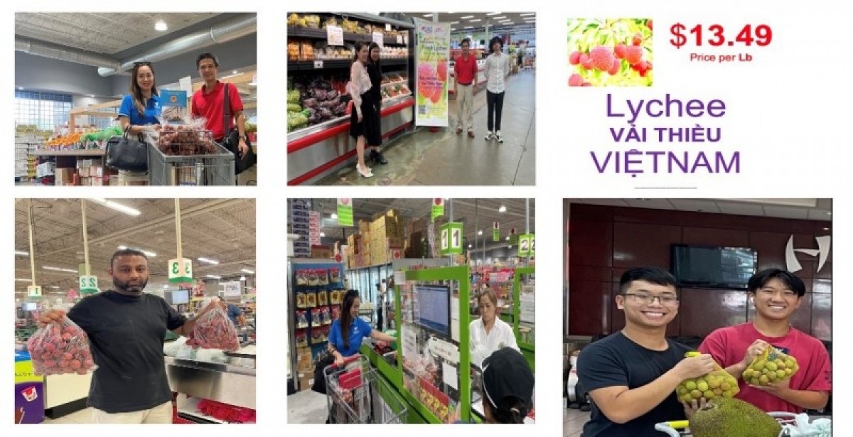 Vietnamese Lychee Available in US Market