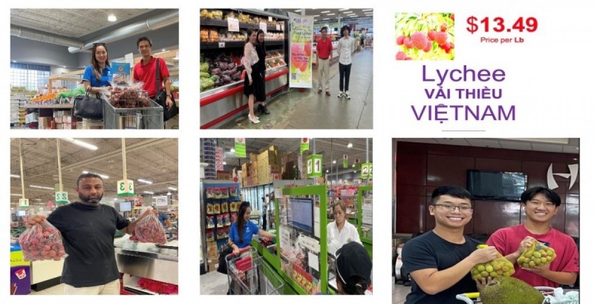 vietnamese lychee available in us market