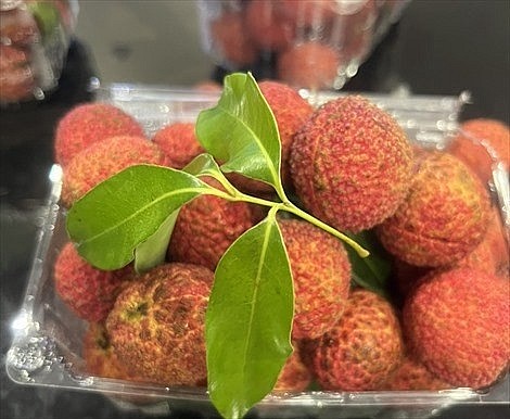 Vietnamese seedless lychees (Photo: VNA)