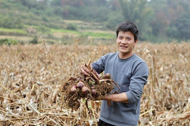 ChildFund Supports Livelihoods for People in Trung Khanh, Cao Bang
