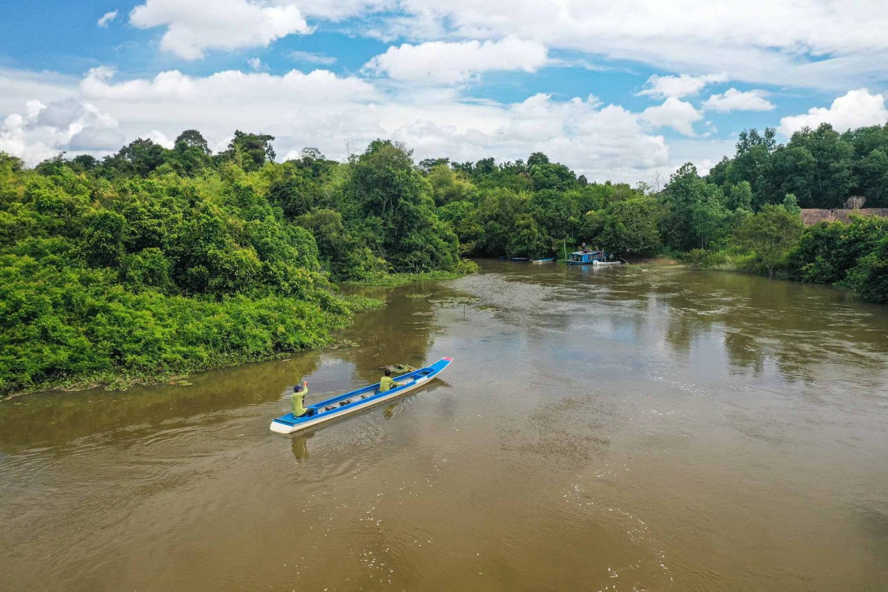 Get Back to Nature: Visit ASEAN Heritage Garden in Tay Ninh Province