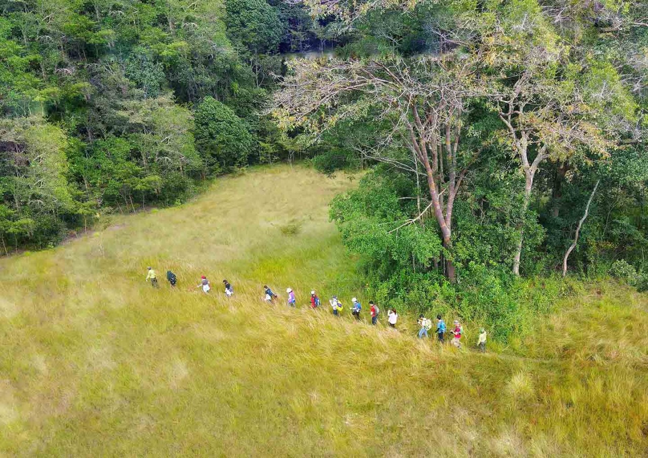 Get Back to Nature: Visit ASEAN Heritage Garden in Tay Ninh Province