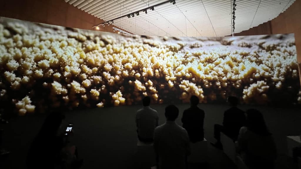 A screen with a length of 14m was used to show 14 works capturing outstanding sights on Jeju Island that won high prizes in the international photography competition from 2009 to 2022. Source: Dao Linh