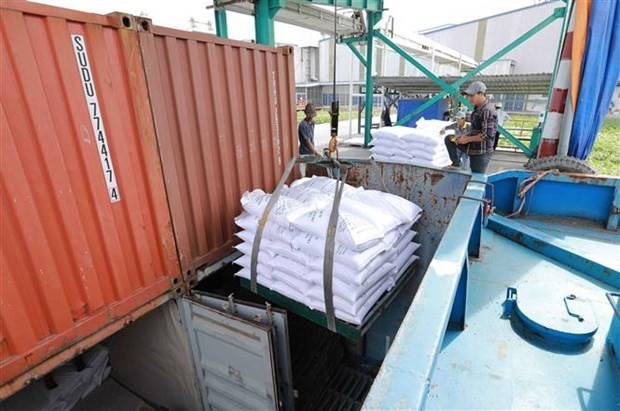 vietnams rice export to the philippines hit record level