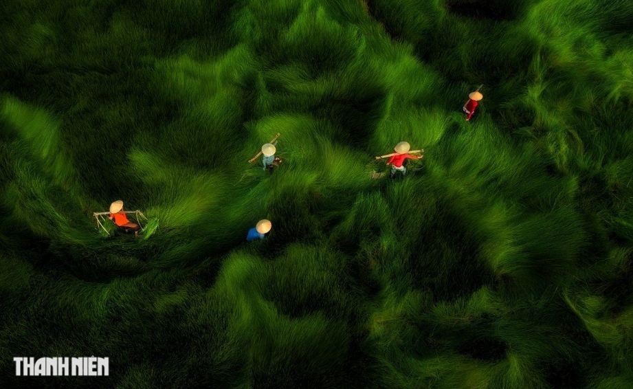Vietnam's Drone Shots Honoured at Drone Photo Awards
