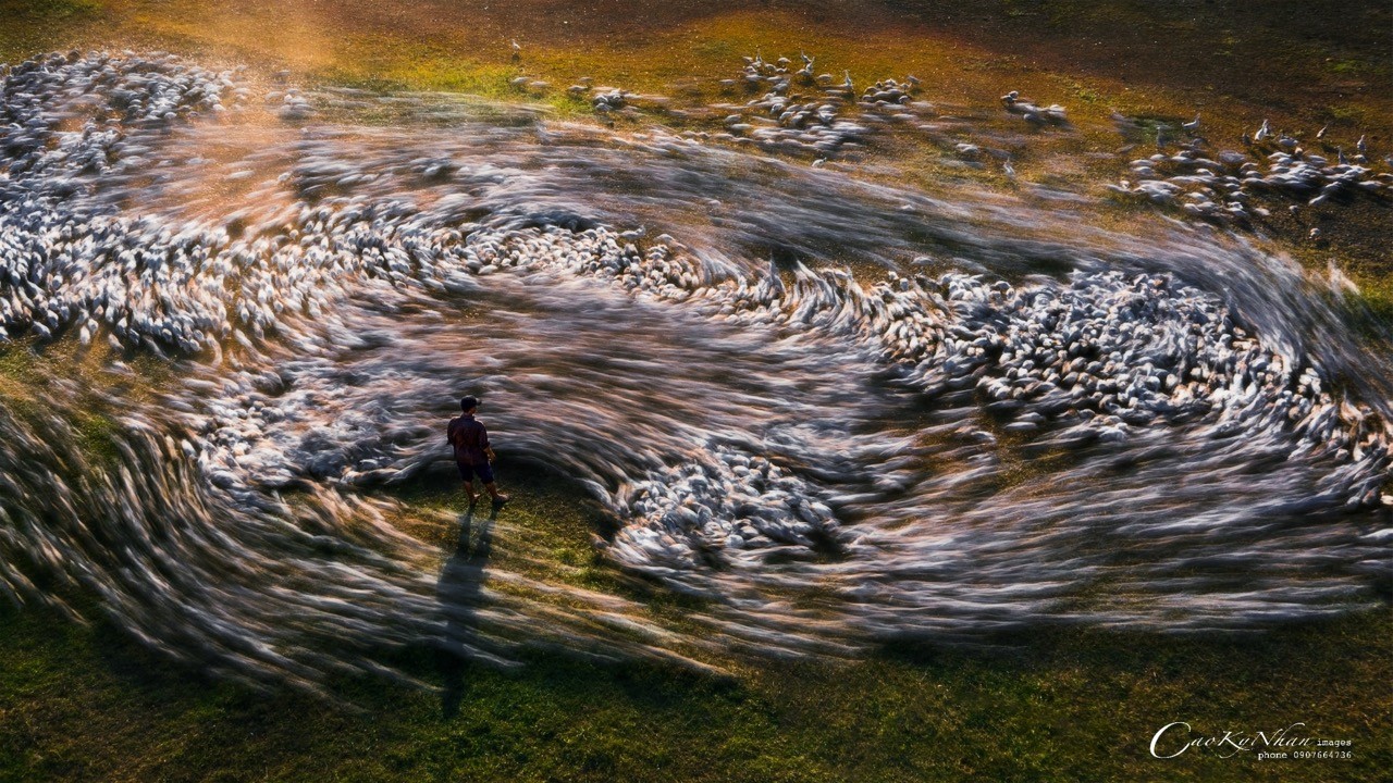 Vietnam's Drone Shots Honoured at Drone Photo Awards