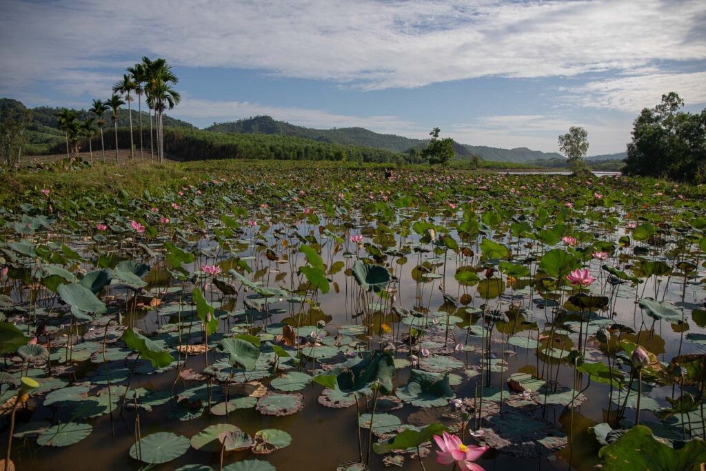 Photo: Visit Quang Nam