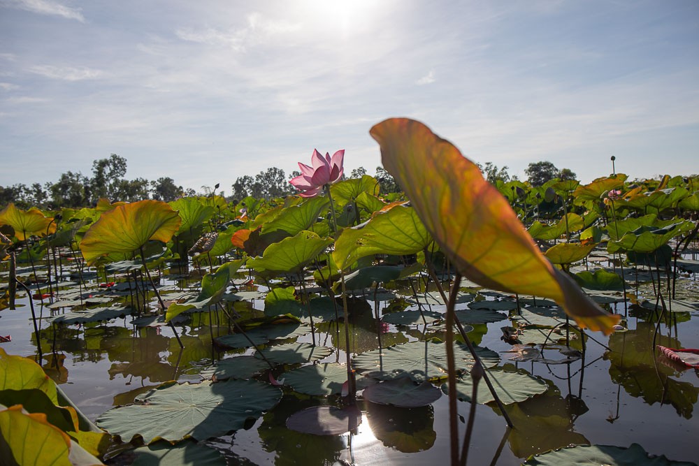 Photo: Visit Quang Nam