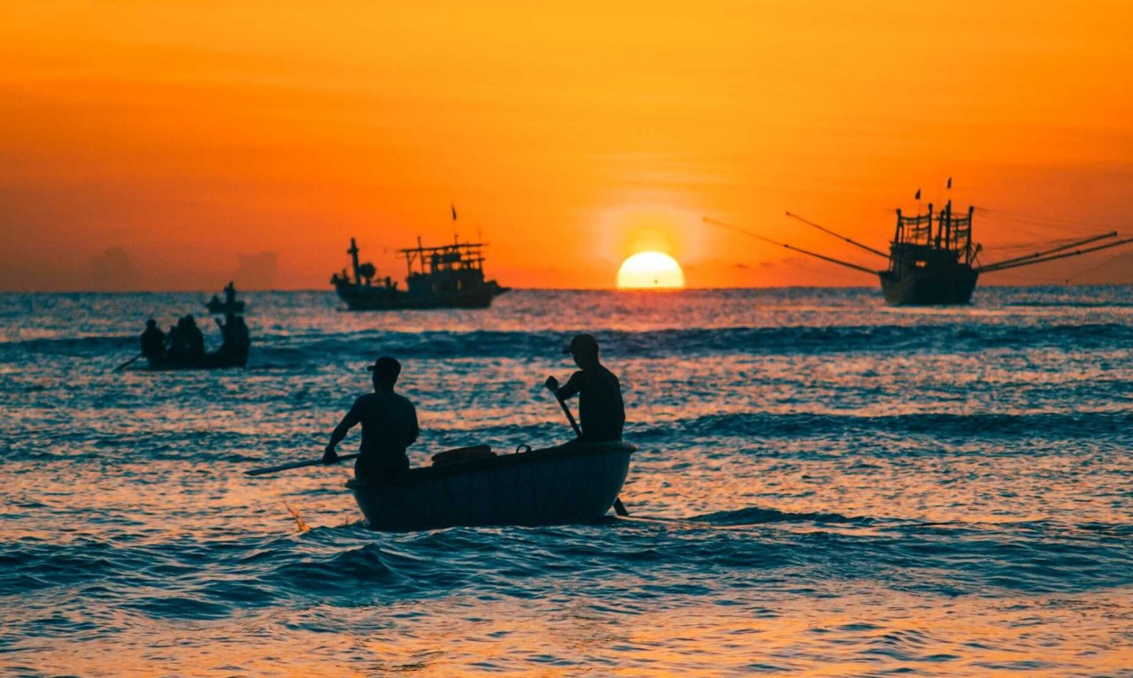 Experience Dawn At The Largest Fishing Market In Quang Nam