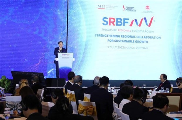 Deputy Prime Minister Le Minh Khai addressing the seventh Singapore Regional Business Forum. Photo: VNA
