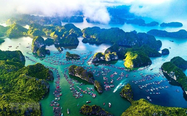 vietnam affirms its position on worlds tourism map