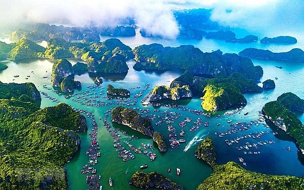Vietnam Affirms Its Position on World's Tourism Map