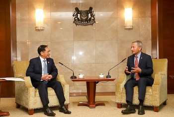 Vietnam and Singapore Foreign Ministers Strengthen Countries' Close Ties