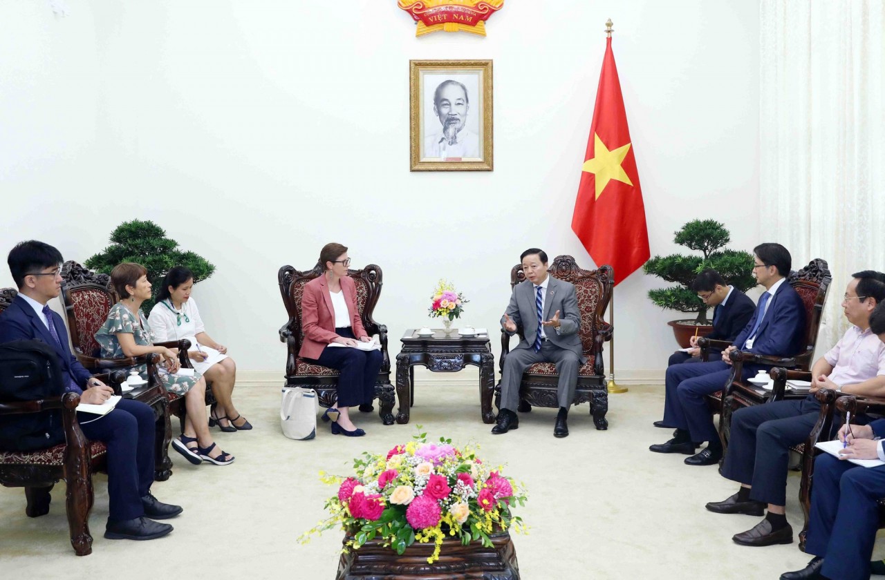 Vietnam Keen on Receiving WHO's Support Responding to New Health Challenges