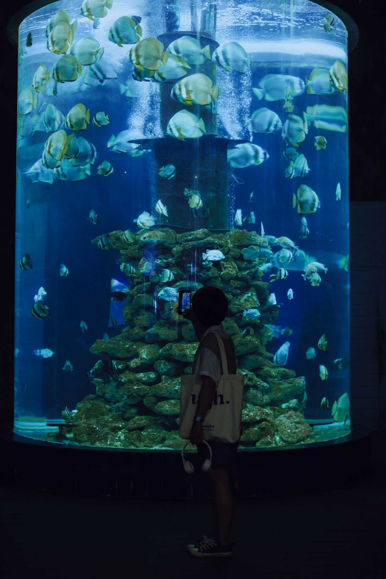 Visit The 100-Year-Old Oceanography Museum In Nha Trang