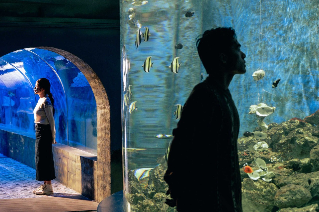 visit the 100 year old oceanography museum in nha trang