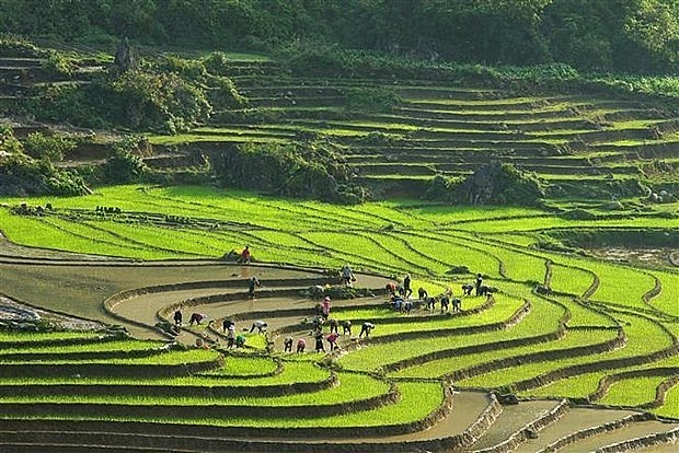 Sa Pa township in Vietnam's Lao Cai province. (Photo: VNA)