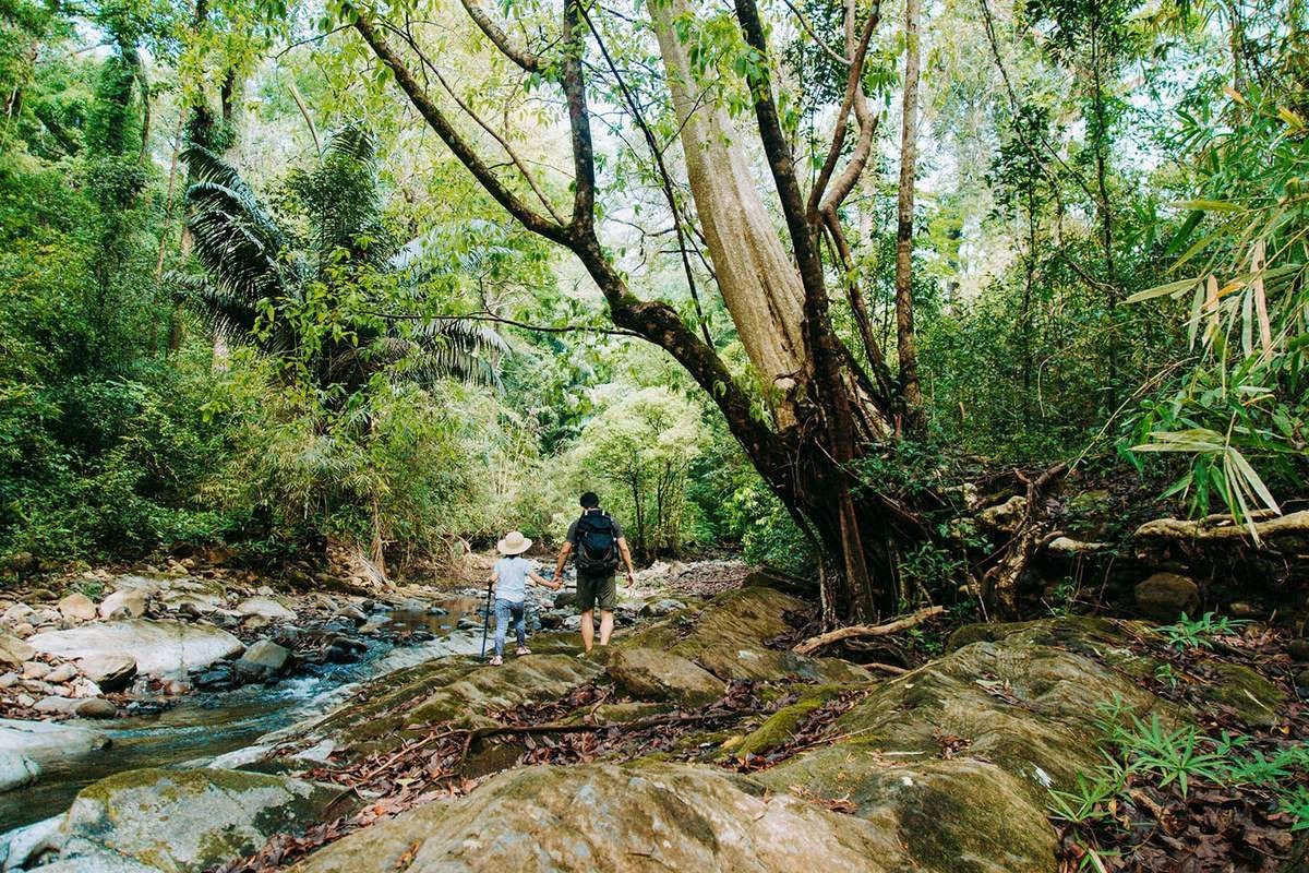 Explore The Gorgeous Bu Gia Map National Park In Vietnam