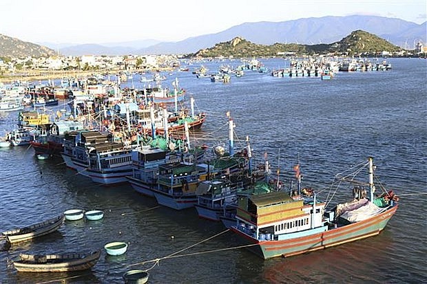 Fishing vessels of Ninh Thuan (Photo: VNA) 