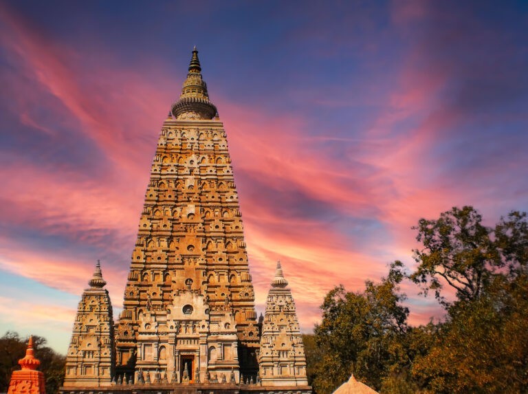 the journey from central school for tibetans to bodh gaya