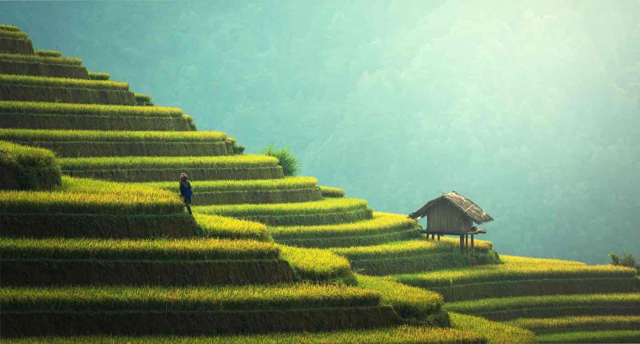 Search For Vietnam Destinations Increases On International Travel Website