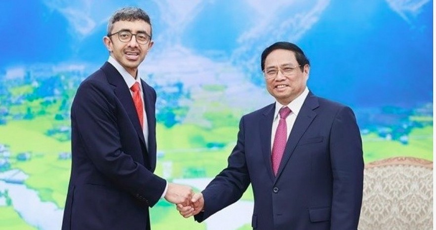 Prime Minister Pham Minh Chinh (R) and Foreign Minister of UAE Sheikh Abdullah bin Zayed Al Nahyan.