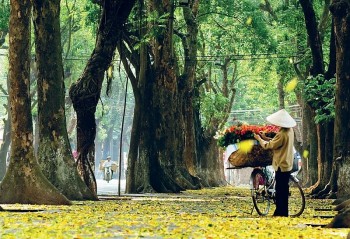 Vietnam’s Weather Forecast (August 9): Sunny Days In The Central Region