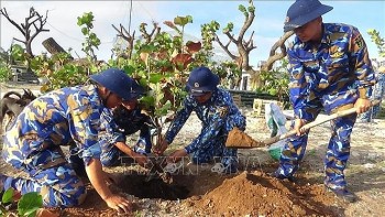 Truong Sa Benefits From Tree Planting Program