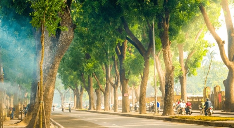 Vietnam’s Weather Forecast (August 13): Light Breeze With Showers In Hanoi