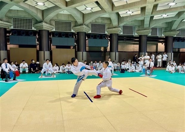 karate tournament held for vietnamese in japan