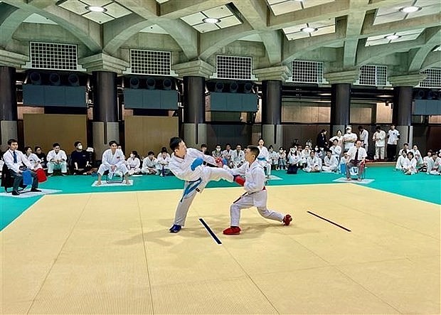 Karate Tournament Held for Vietnamese in Japan