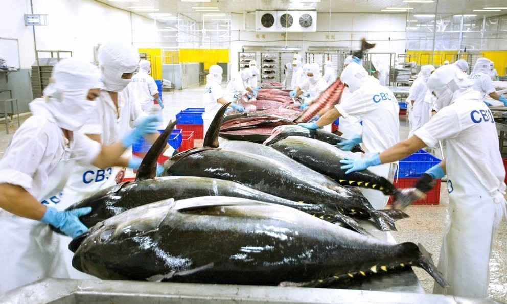 VIFTA Creates Opportunities for Vietnamese Tuna in Middle East