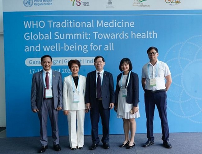 Vietnam Shares Policies to Encourage Development of Traditional Medicine