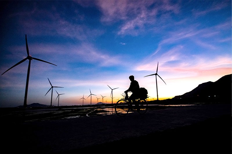 What Is The Largest Wind Power Plant In Vietnam?