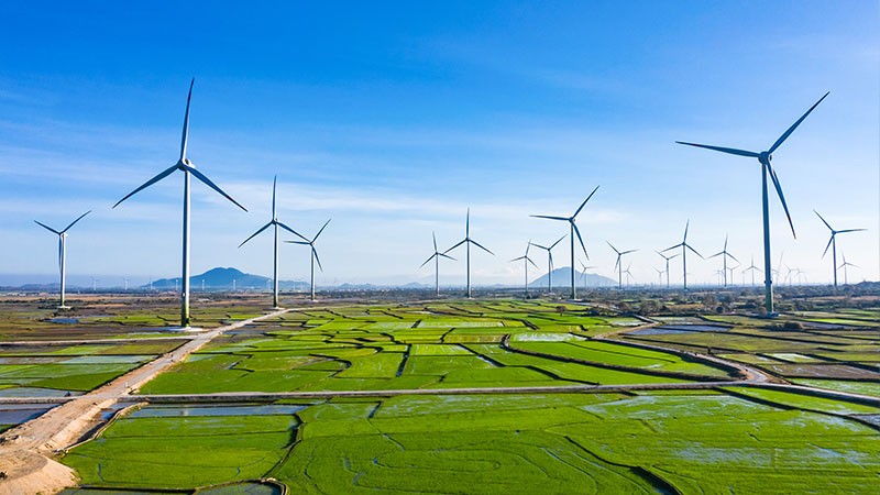 What Is The Largest Wind Power Plant In Vietnam?