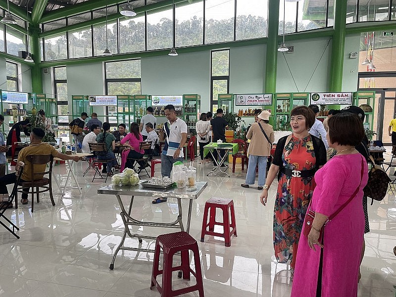 Quang Nam Promotes Culture, Ginseng Among Domestic, Foreign Friends