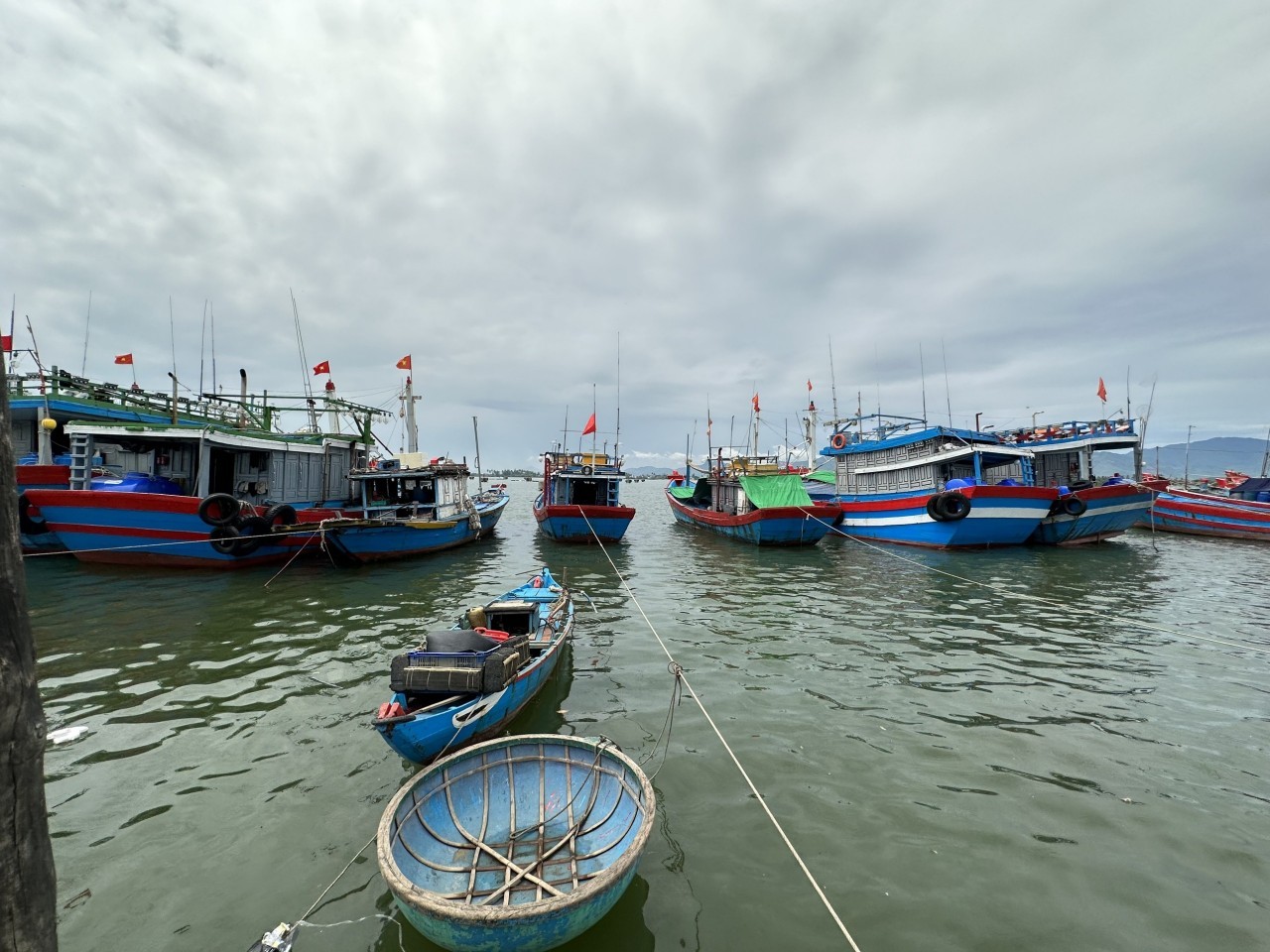 Nui Thanh District, Quang Nam Province: Elderly Fishermen Still Flock to Sea