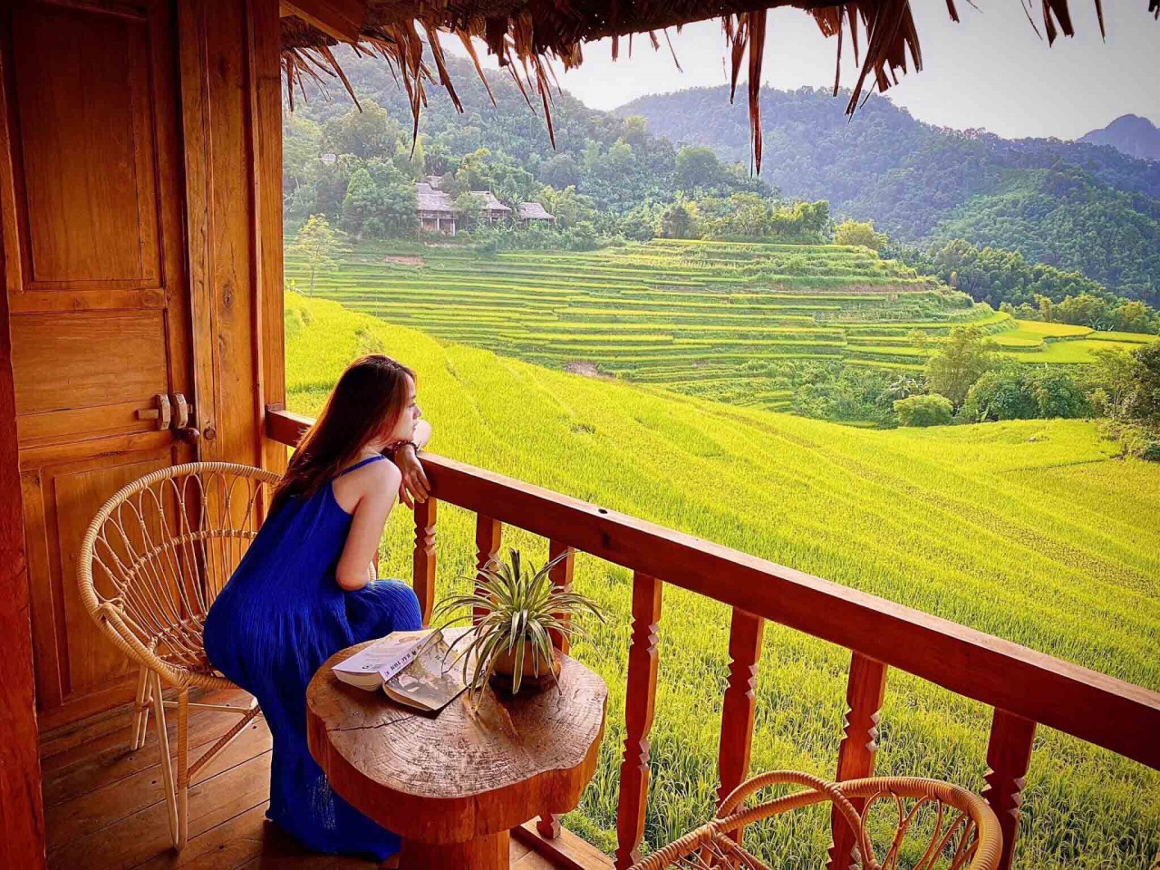 Best Places To See The Ripening Rice Season In Vietnam