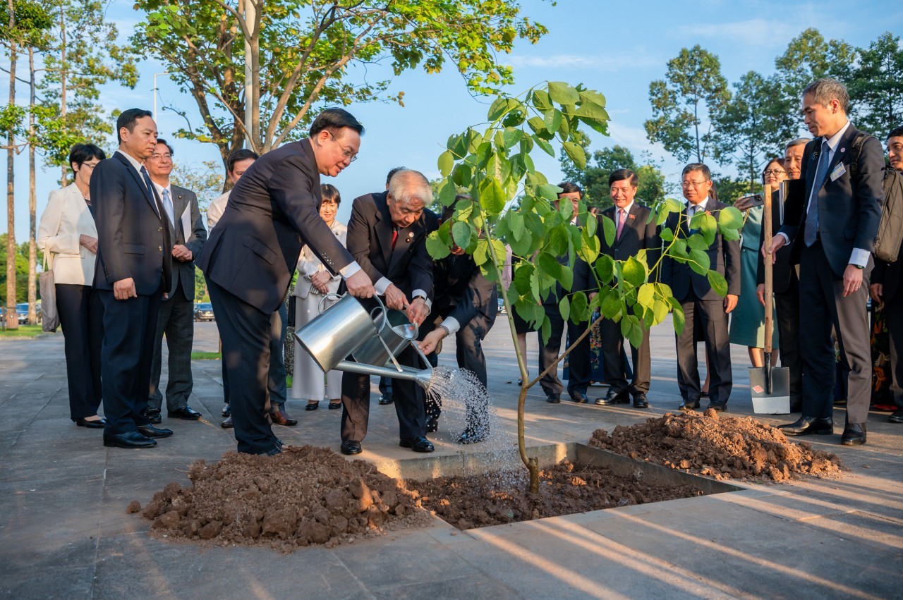 Leader of Japanese House of Councillors Gifts Vietnam a Red Osaka Tree