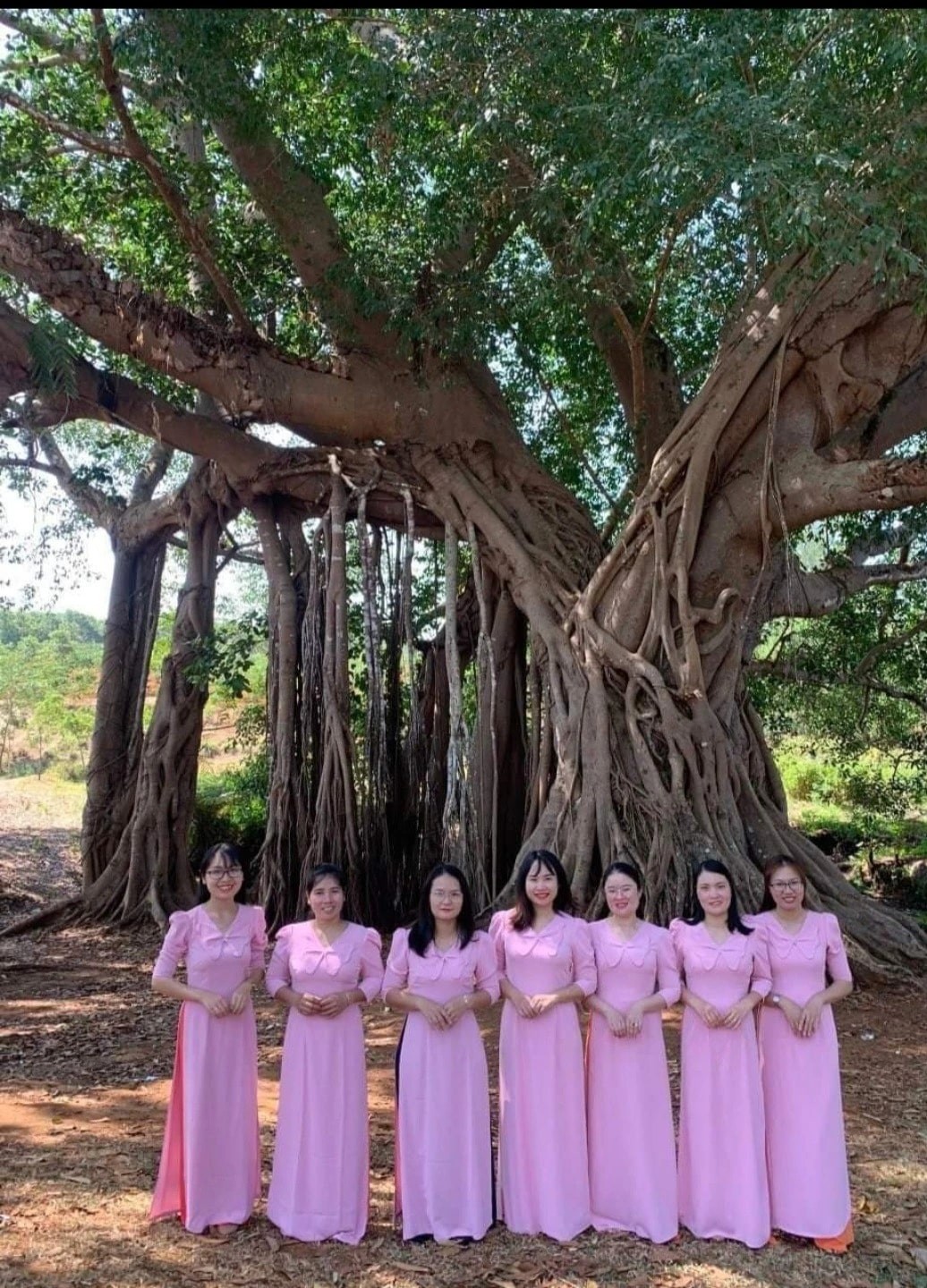 The 200-Year-Old Banyan Tree Unites The Jrai People
