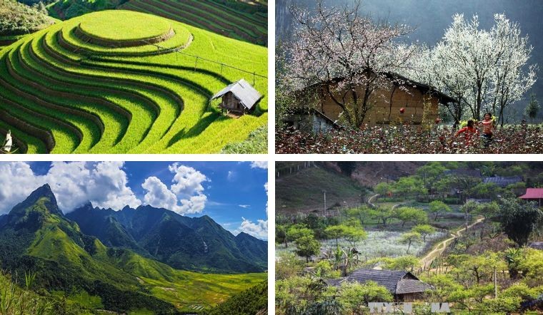 Explore The Wild Beauty Of Si Ma Cai In Lao Cai