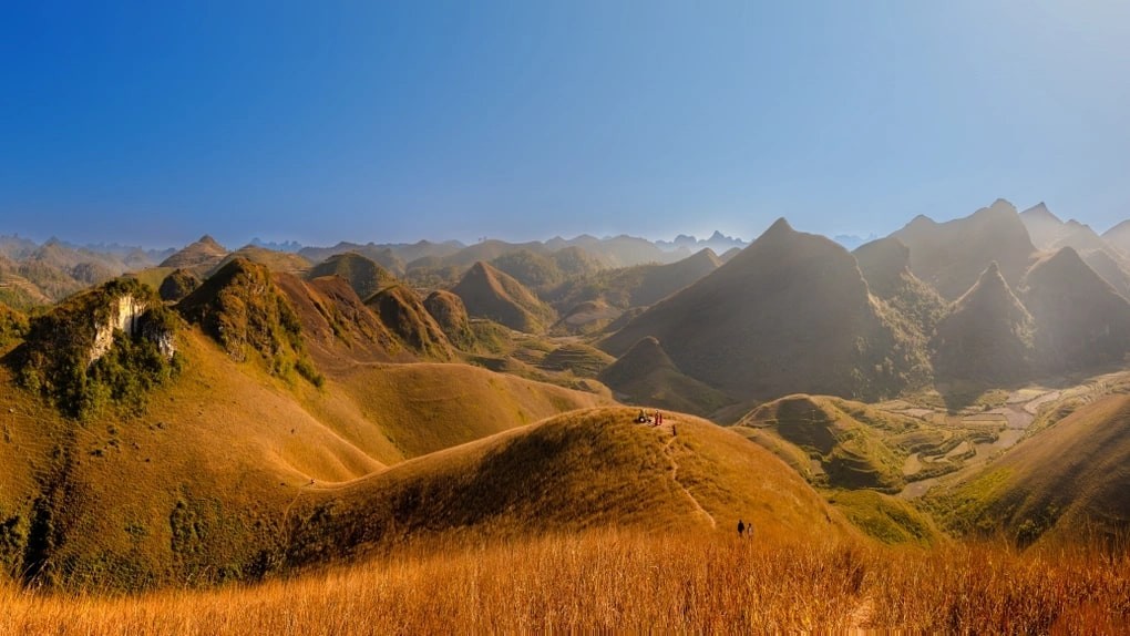 The Charming Beauty Of Vinh Quy Grass Hill