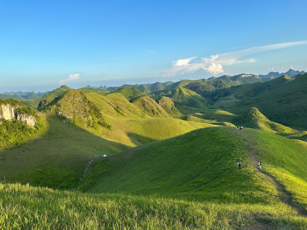 The Charming Beauty Of Vinh Quy Grass Hill