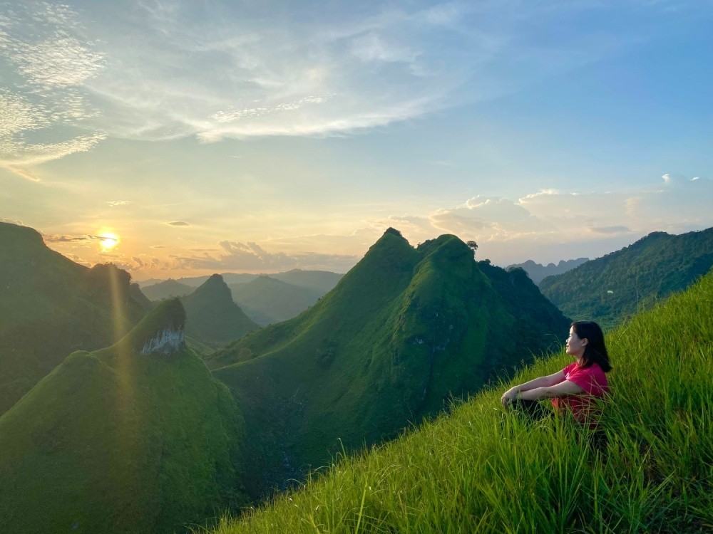 The Charming Beauty Of Vinh Quy Grass Hill