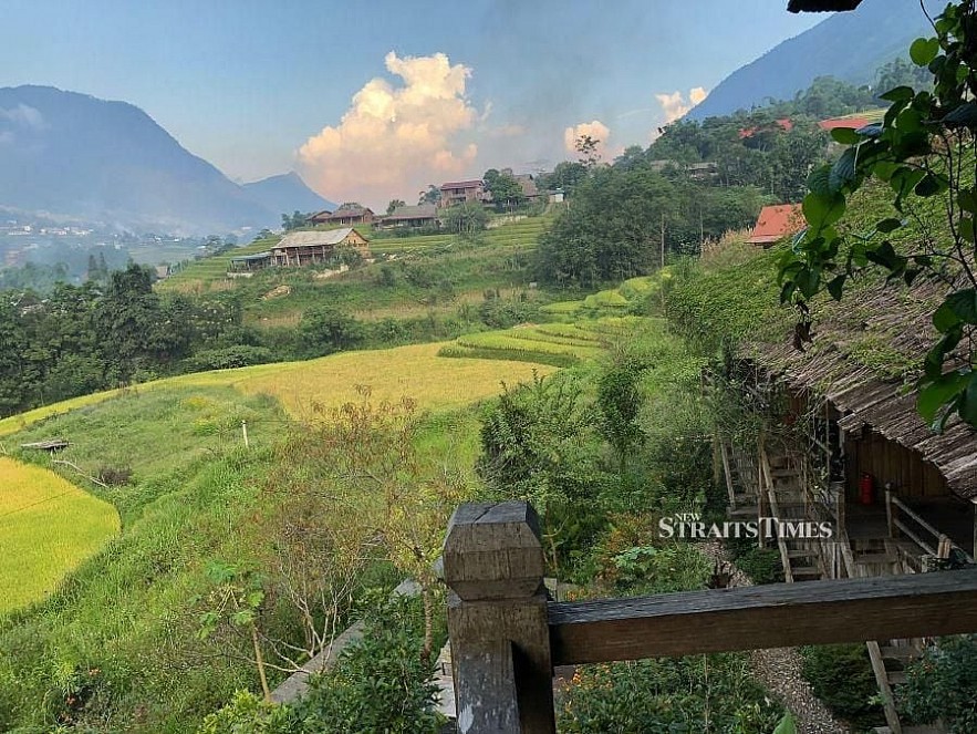 Rice fields of Sapa Valley in Northern Vietnam.